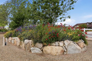 Flower Beds