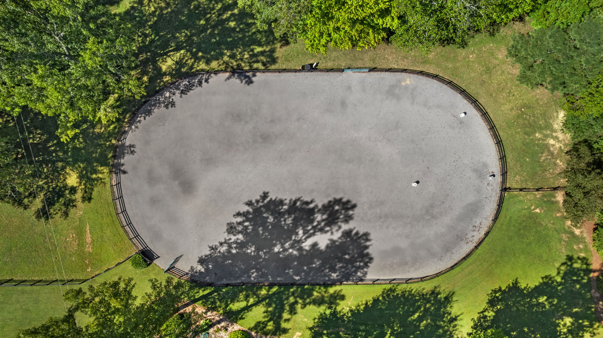  Photo 87