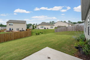  Photo 31