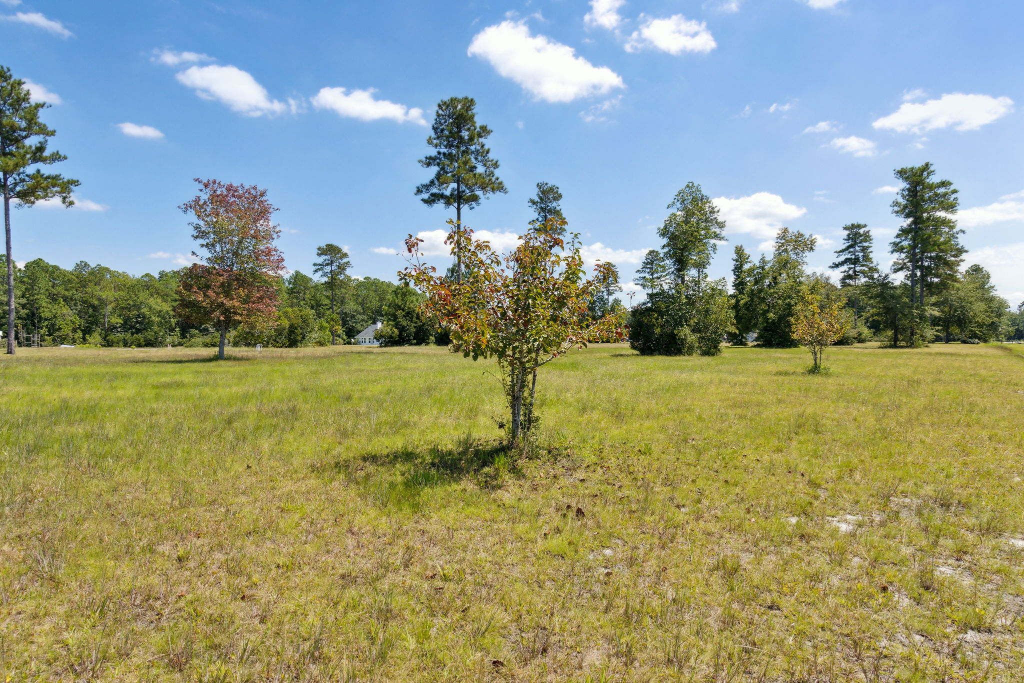 Side Yard