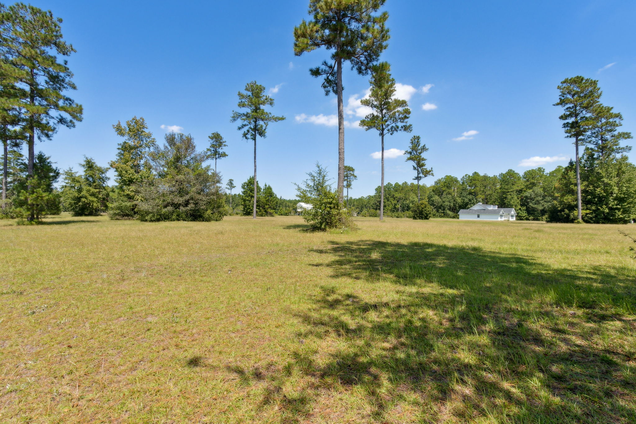 Side Yard