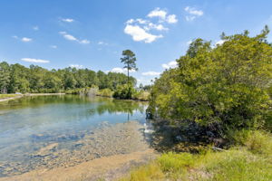 Pond