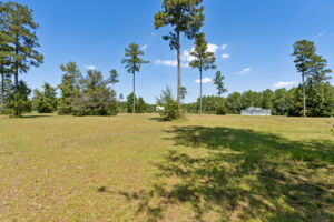 Side Yard