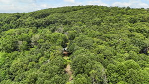 DJI_20250724032035_0383_D