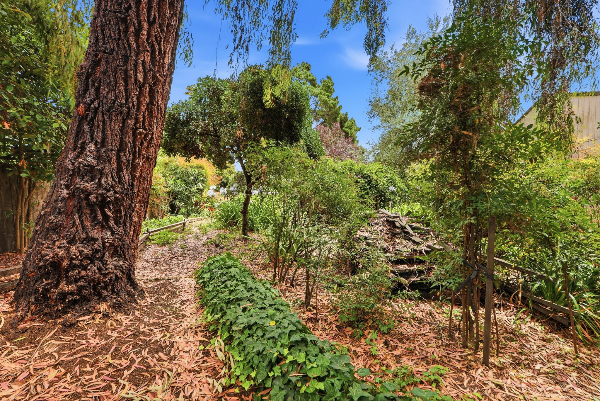 059_F8_770 Grove Way