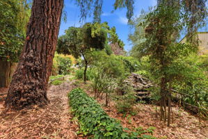 059_F8_770 Grove Way