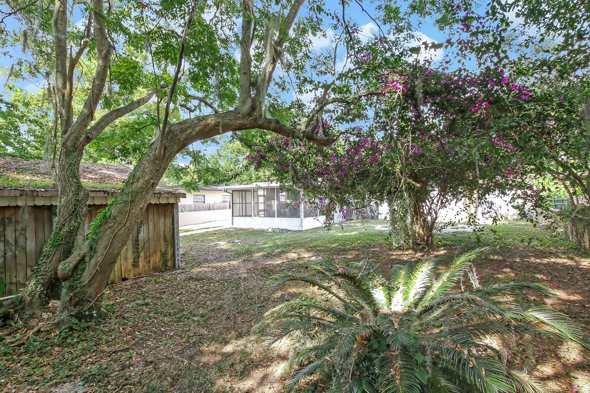 Backyard