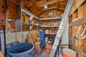  Photo 36