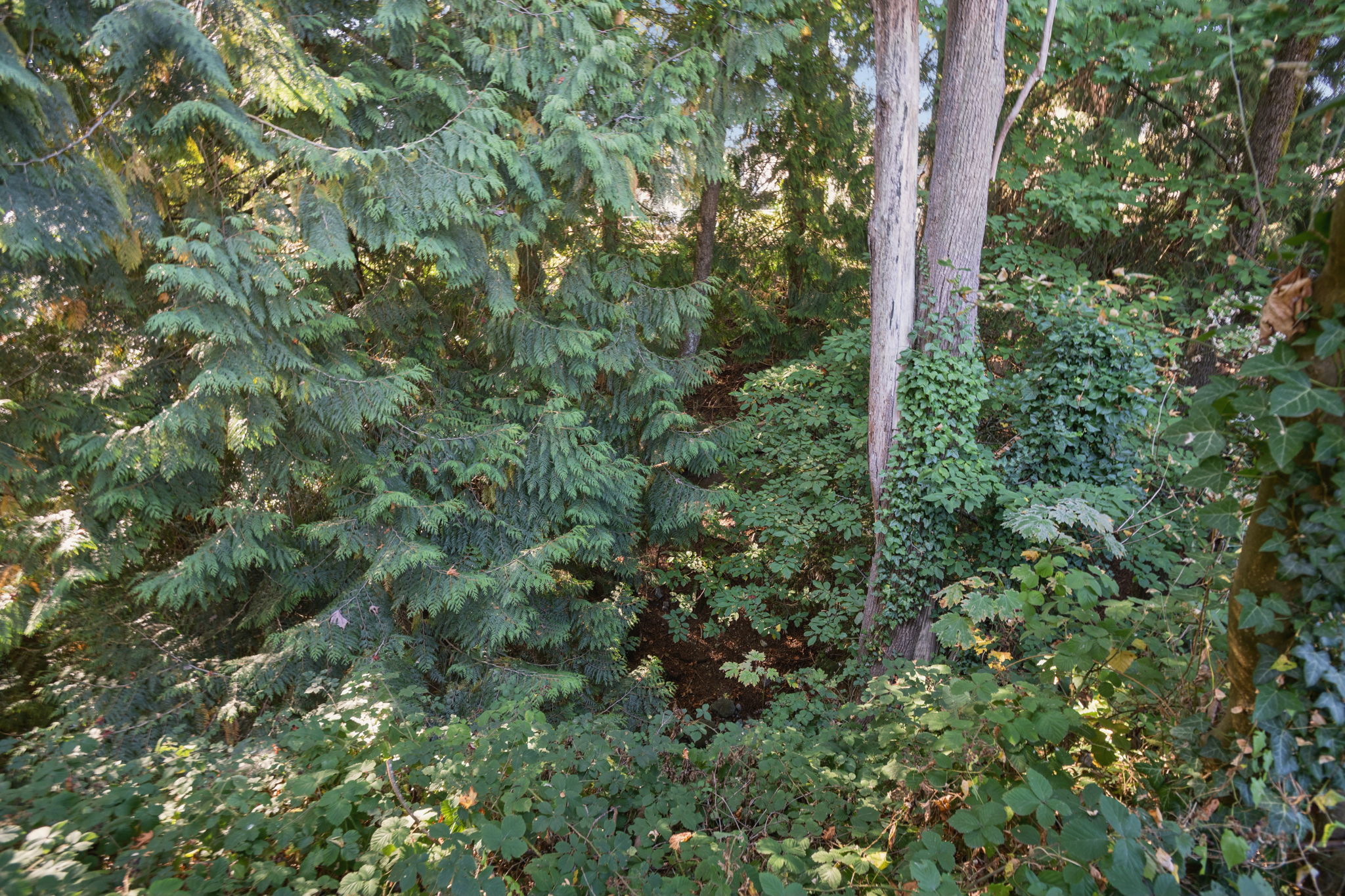  Photo 37