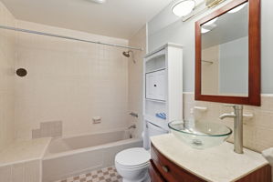 Lower Level Ensuite Bathroom