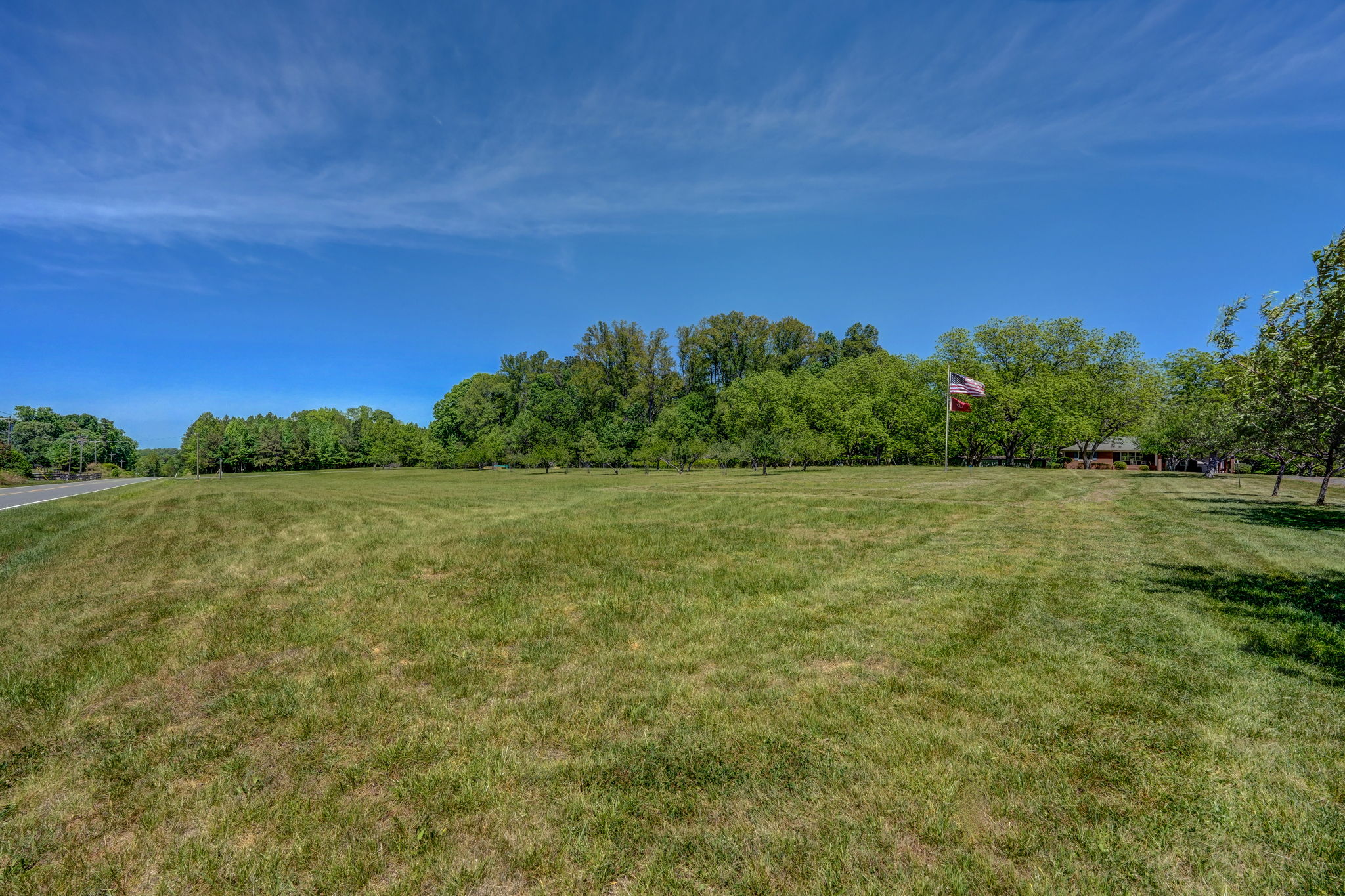 Field