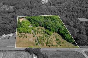 Full Property View