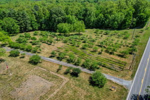 Orchard