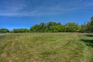 Field