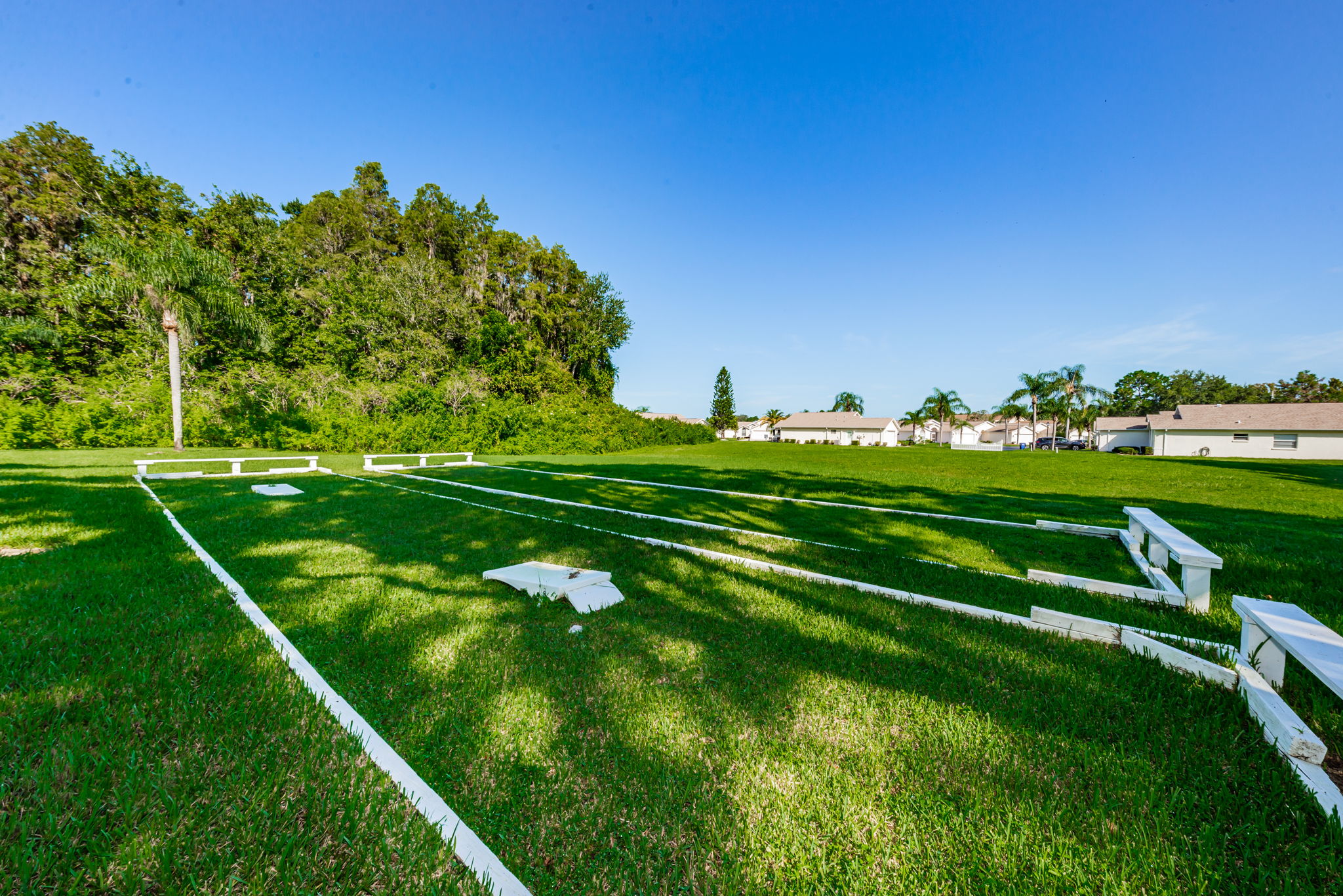 29-Horseshoes and Cornhole