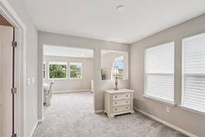 Blind Oak Cir-S2007-012.jpg
