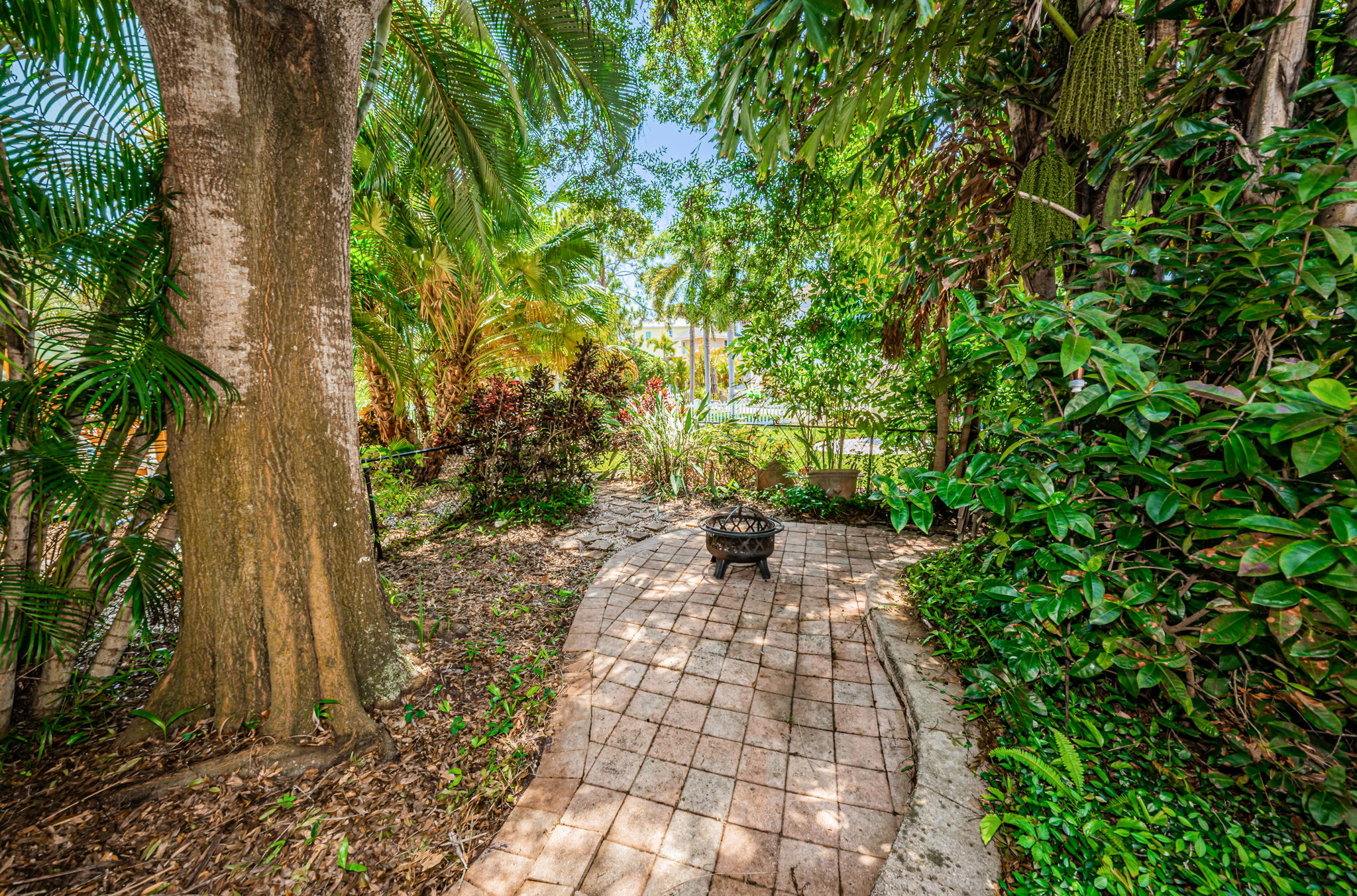 Backyard Patio1