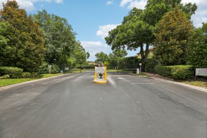 Windbreak Rd-001.jpg