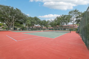 Windbreak Rd-033