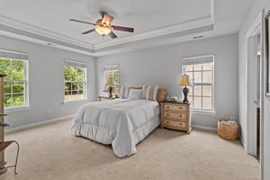 Spacious primary bedroom w/trey ceiling