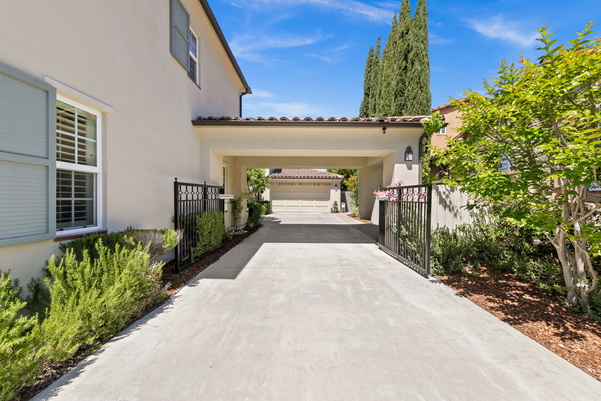 7728 Briza Placida-62