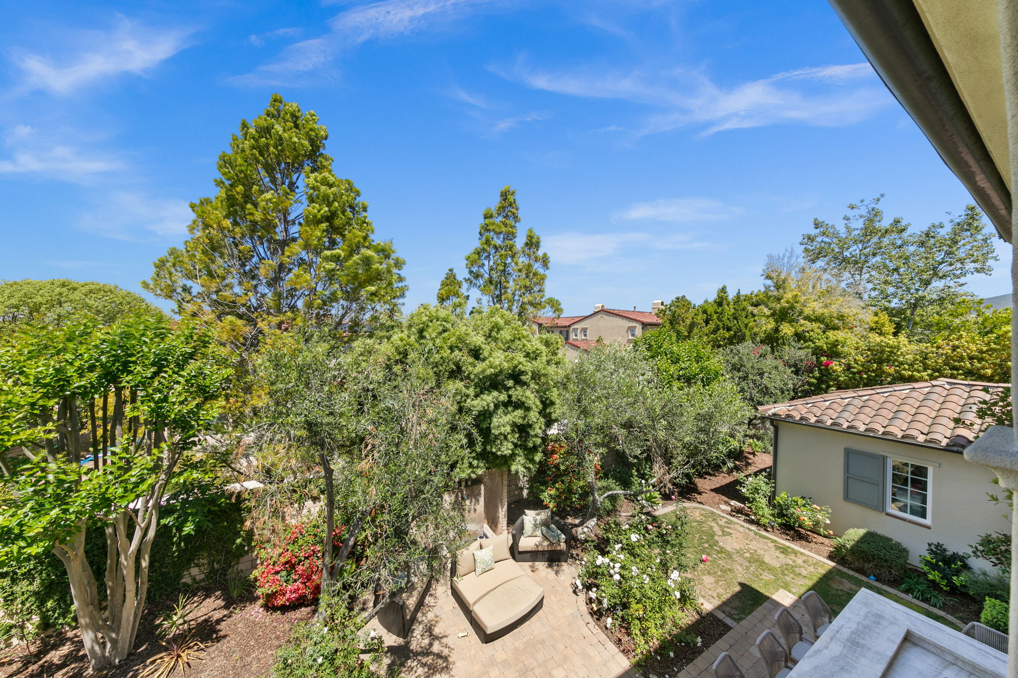 7728 Briza Placida-45