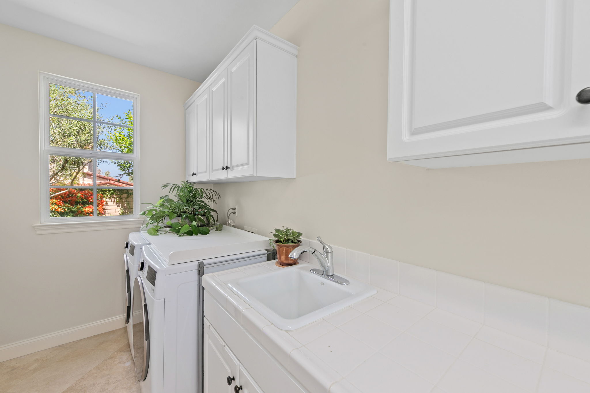 7728 Briza Placida-30