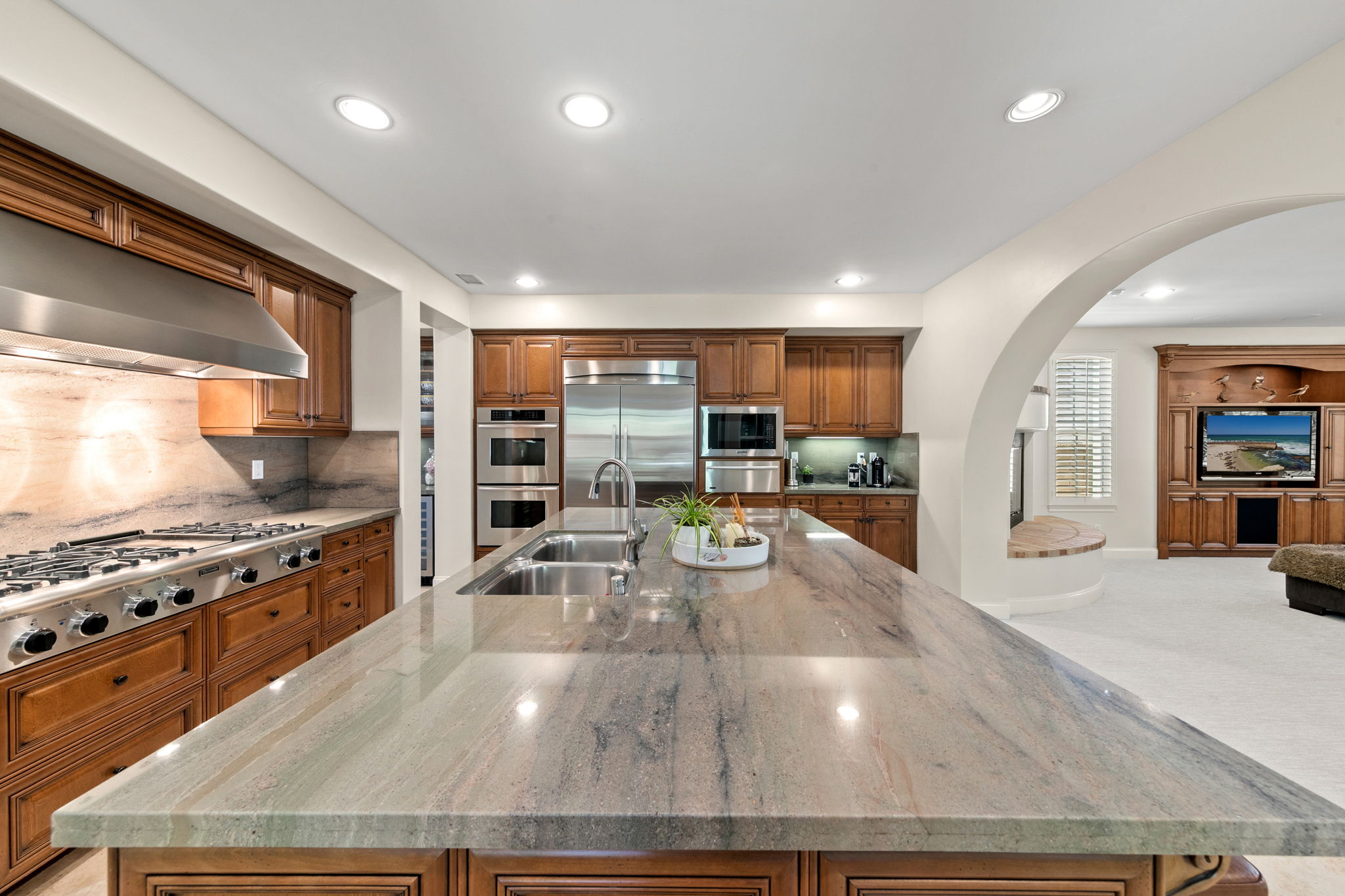 7728 Briza Placida-23