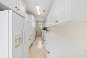 7728 Briza Placida-29