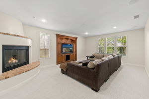 7728 Briza Placida-24