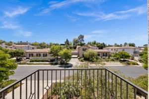 7728 Briza Placida-10