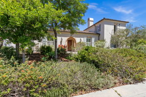 7728 Briza Placida-4