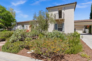 7728 Briza Placida-2