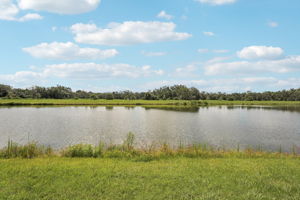 Tampa - Salt Meadows - 7728 Gilchrist Spgs Dr Parrish FL 34219 - 034