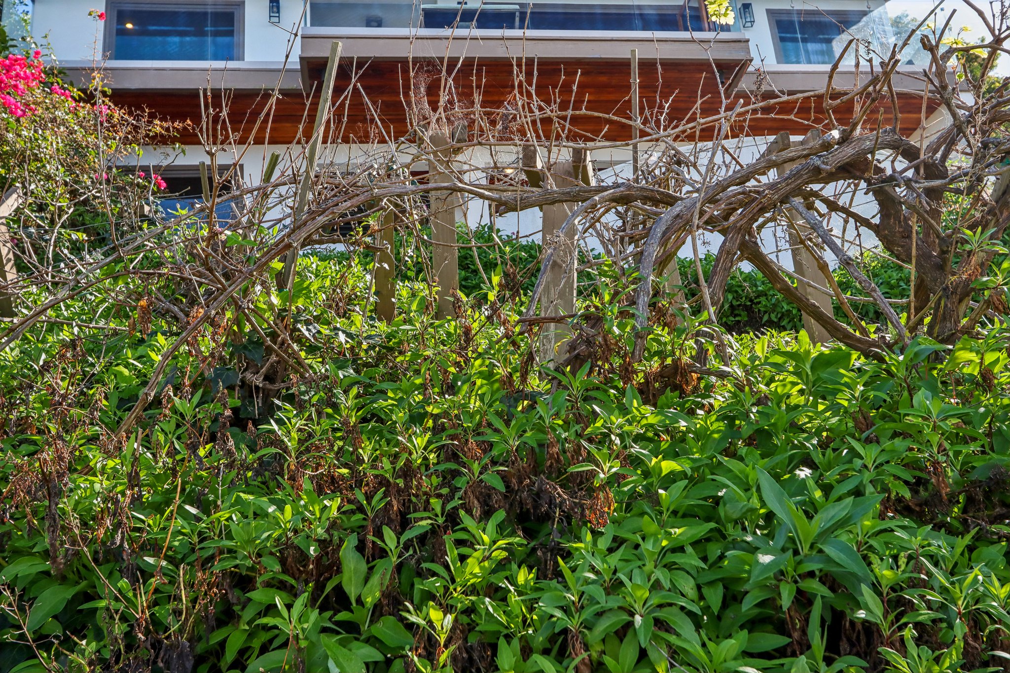 Via Somonte-S1302-055.jpg