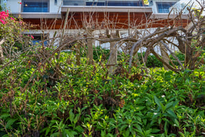 Via Somonte-S1302-055.jpg