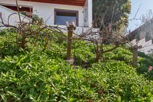 Via Somonte-S1302-057.jpg