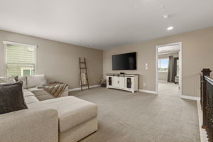 Loft 1