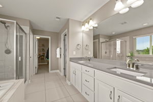 Primary Bathroom 1