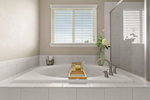 Primary Bathroom 5
