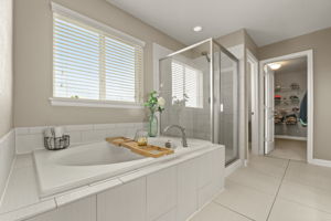 Primary Bathroom 2