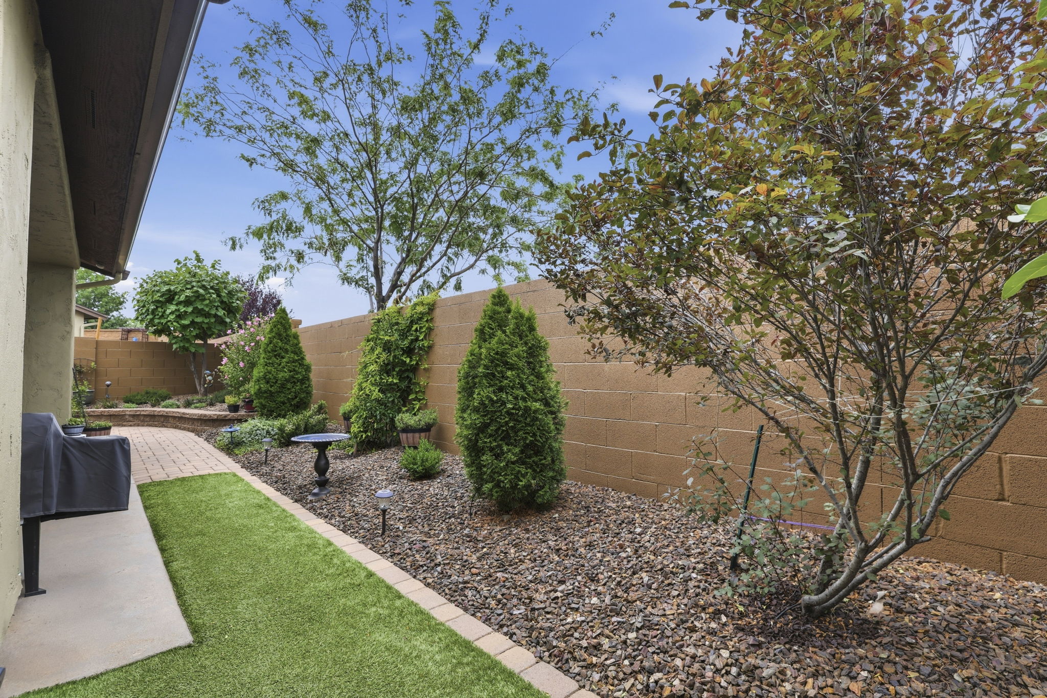Backyard