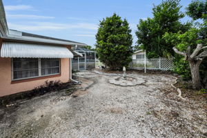 Backyard3