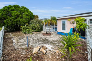 Backyard5