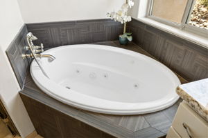 Primary Bathroom (5)