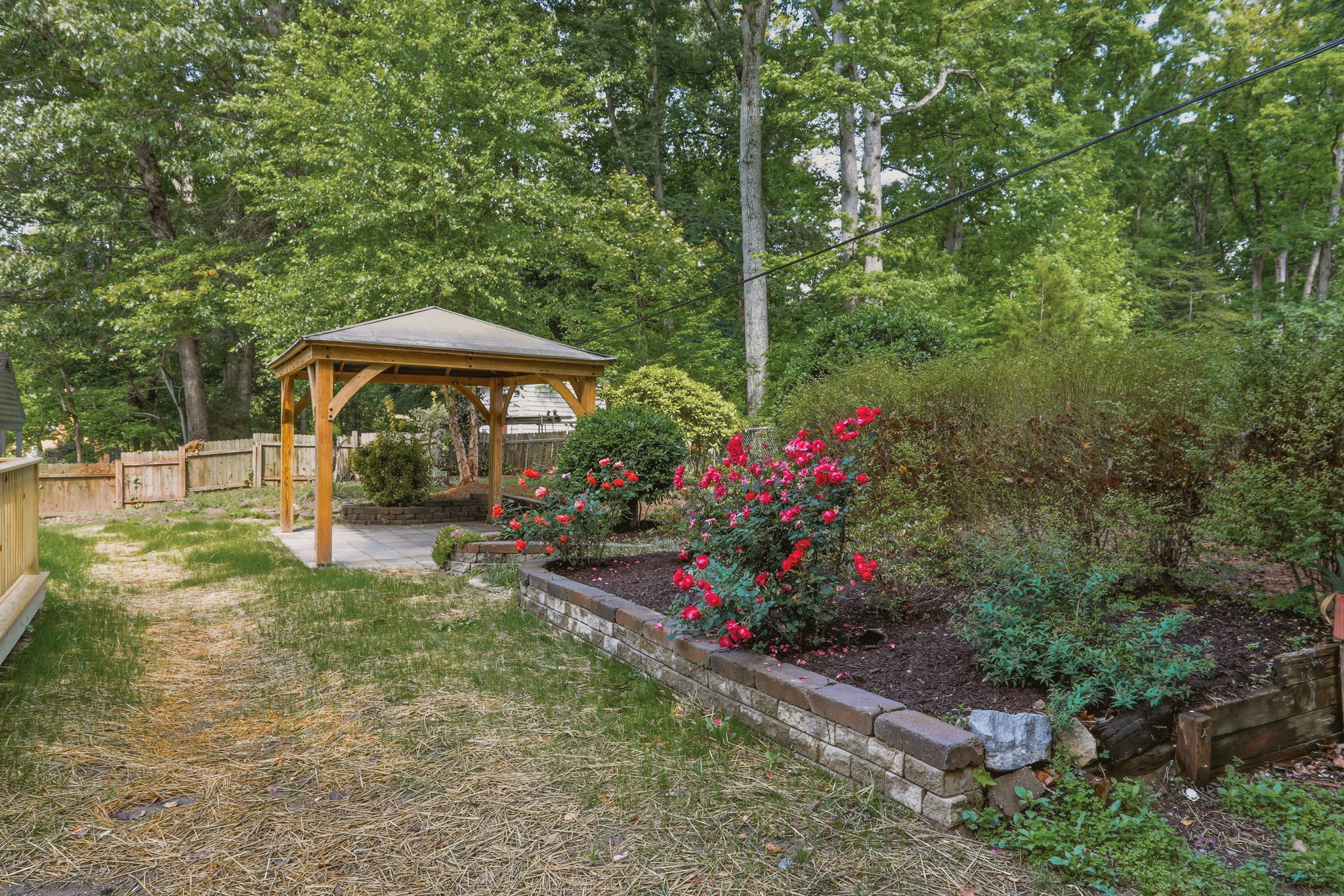 38-Backyard