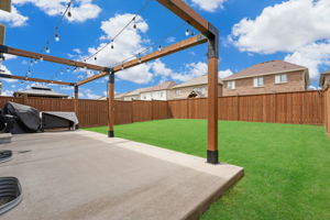 Backyard 2