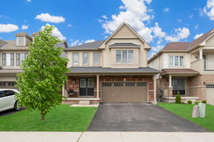 7743 Butternut