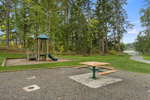 Picnic, play