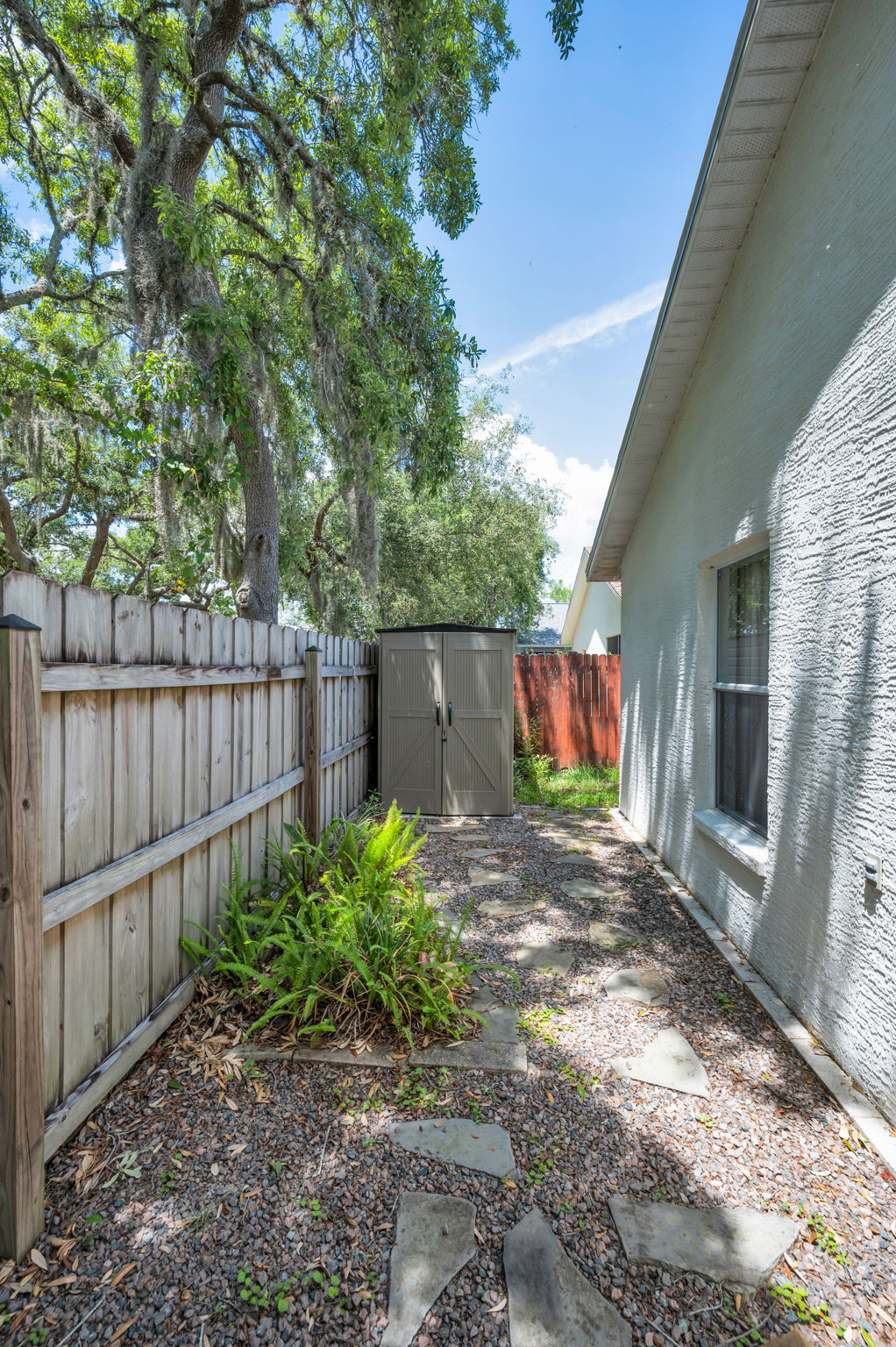 Backyard2